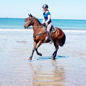 Costa Rica-Guanacaste-Costa Rica Silver Saddles Tour